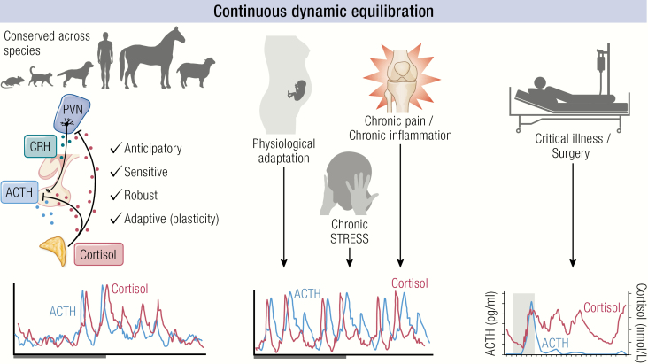 Graphical Abstract