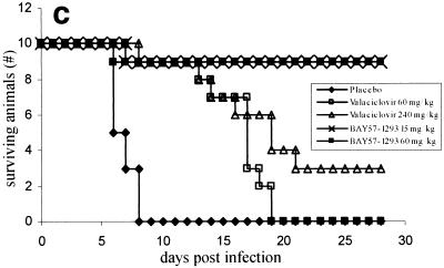 FIG. 6.