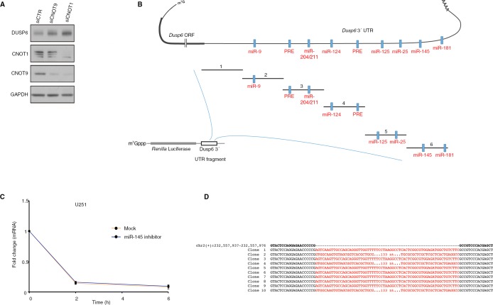 Figure 3—figure supplement 1.