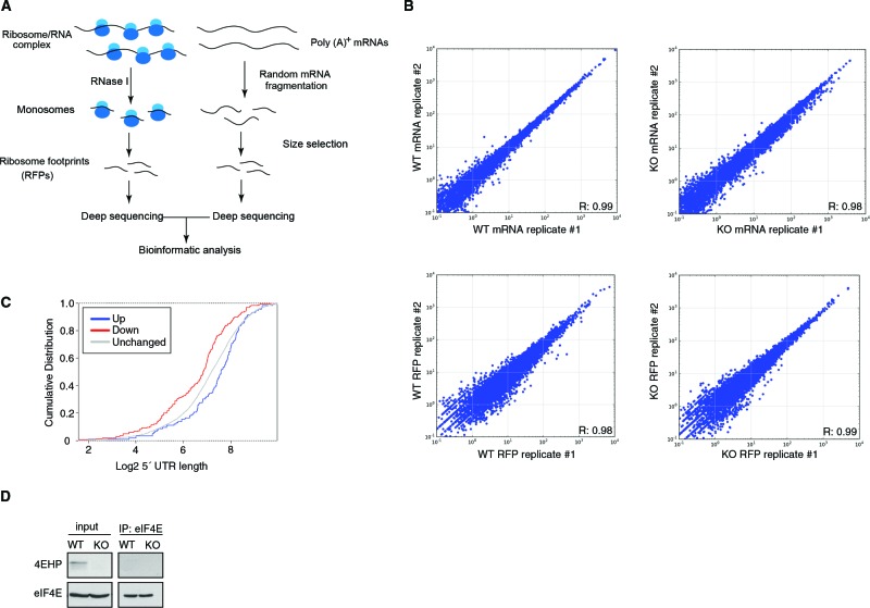 Figure 1—figure supplement 1.