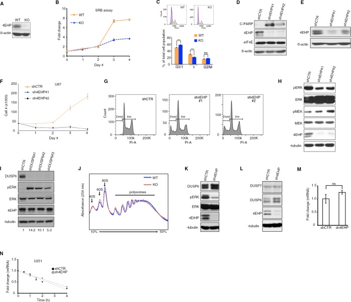 Figure 2—figure supplement 1.