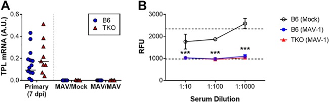 FIG 3