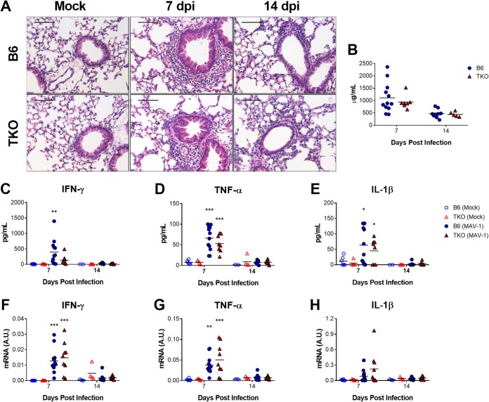 FIG 2