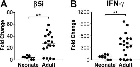 FIG 8