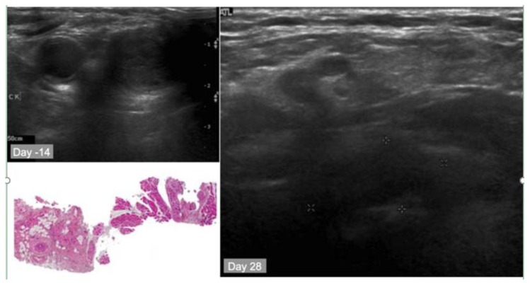 Figure 15