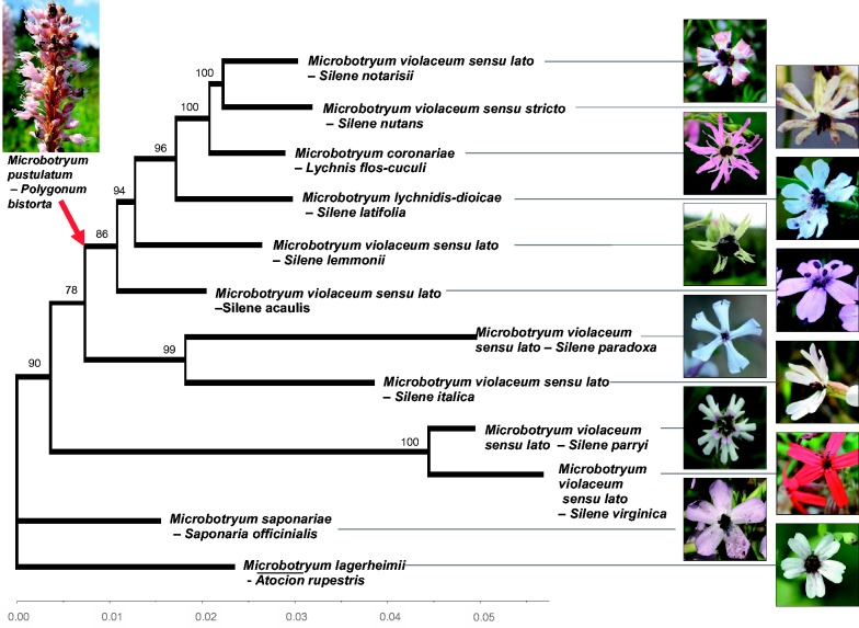 Fig. 3.