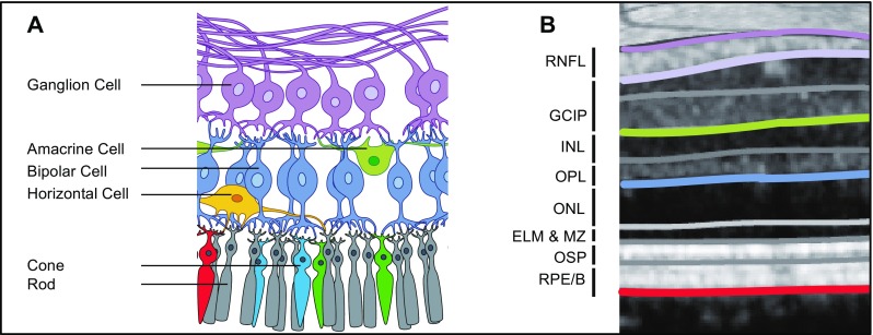 Fig. 1