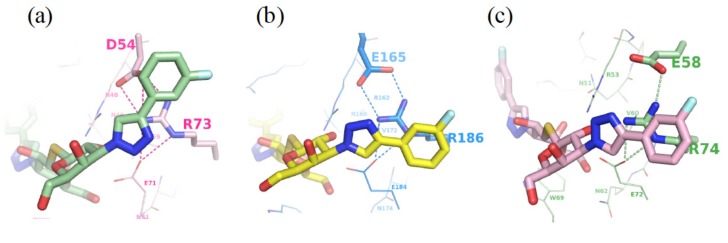 Figure 5