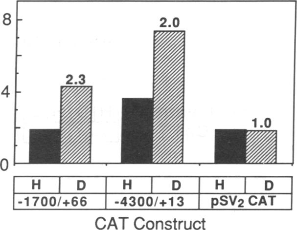 graphic file with name pnas00258-0069-b.jpg