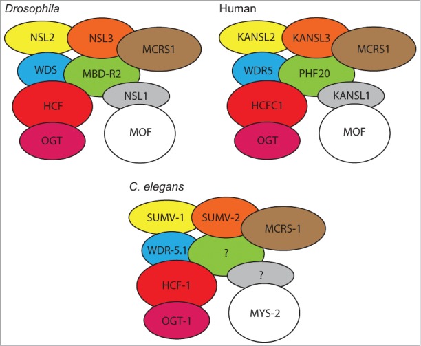 Figure 1.