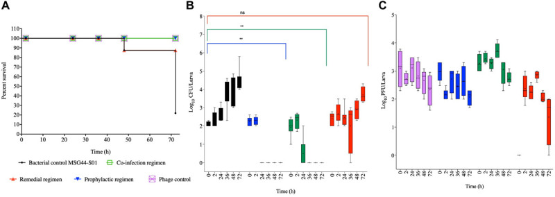 FIGURE 3