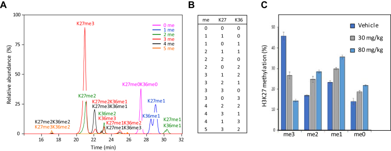 Fig. 7