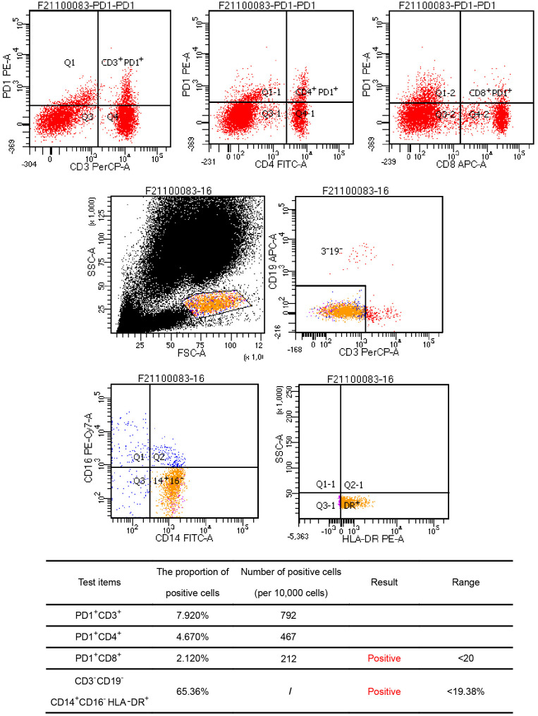 Figure 4