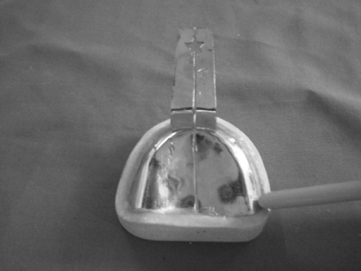 Fig. 2