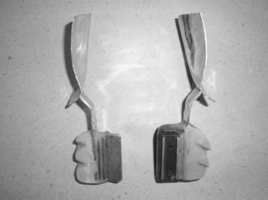 Fig. 5