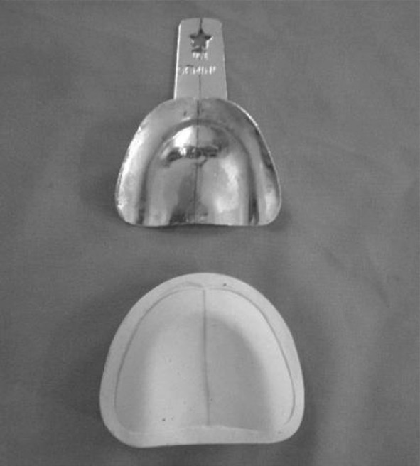Fig. 1