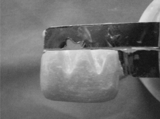Fig. 3