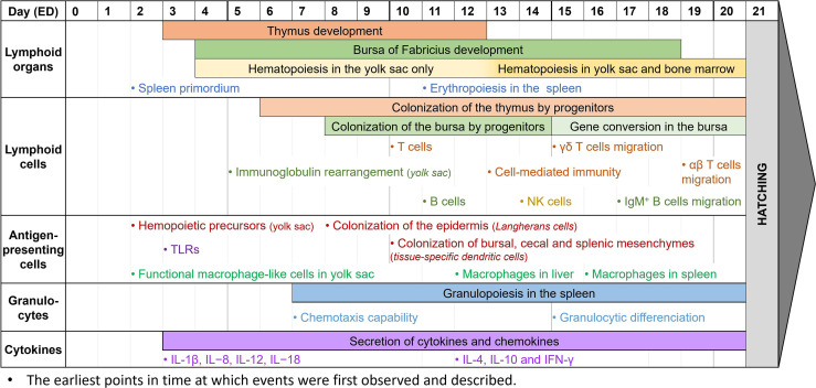 Figure 2