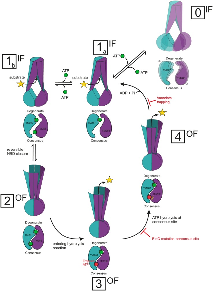 Figure 10.