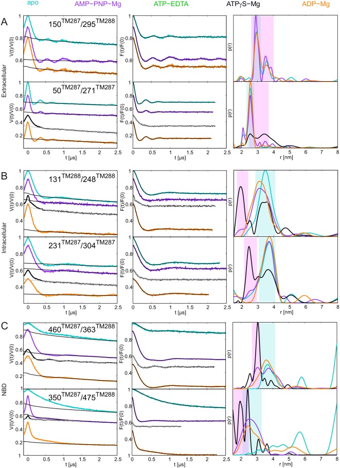 Figure 6—figure supplement 1.