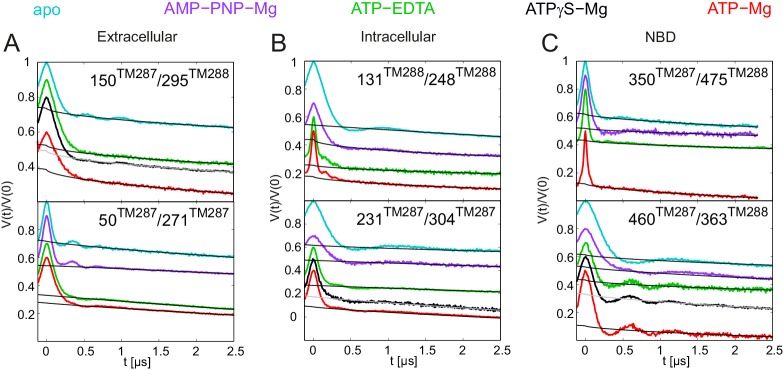 Figure 4—figure supplement 1.