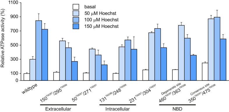 Figure 1—figure supplement 2.