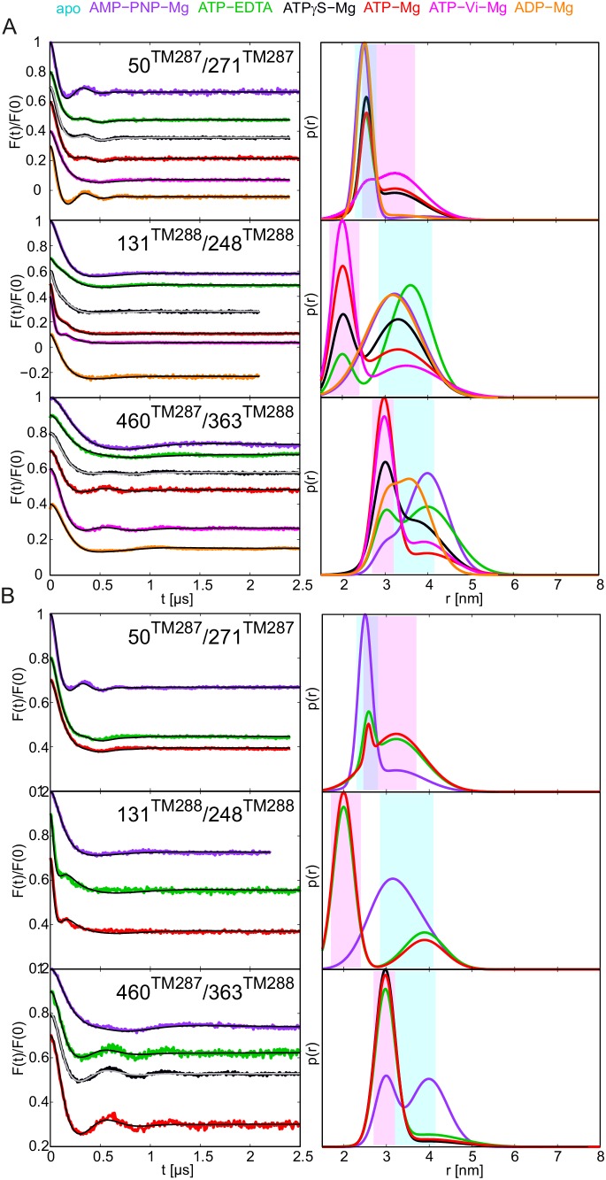 Figure 5—figure supplement 1.