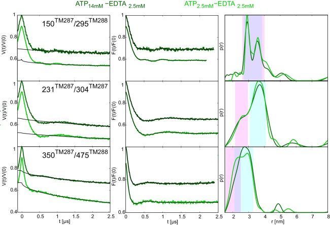 Figure 2—figure supplement 4.