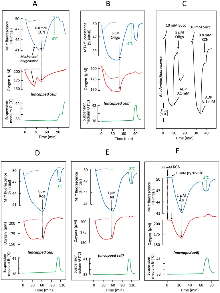 Fig 2