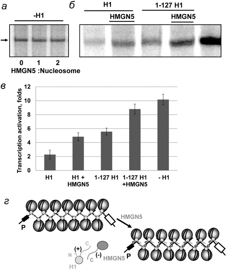 Fig. 7.