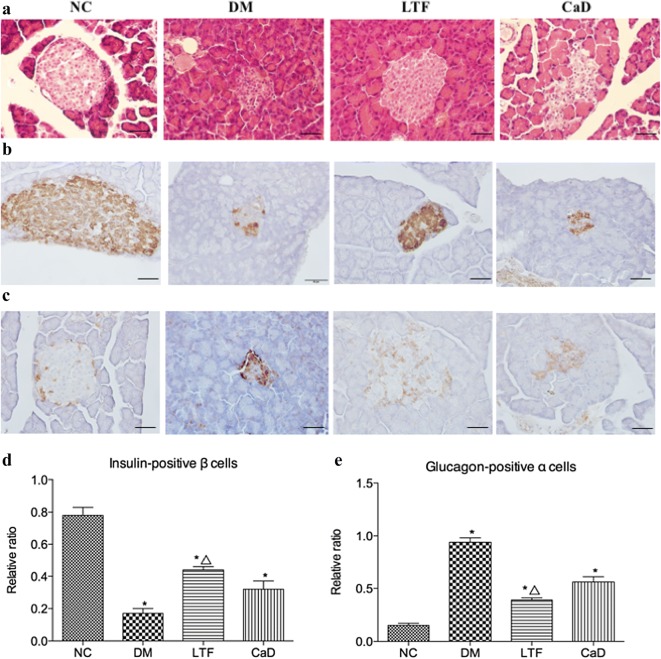 Fig. 6