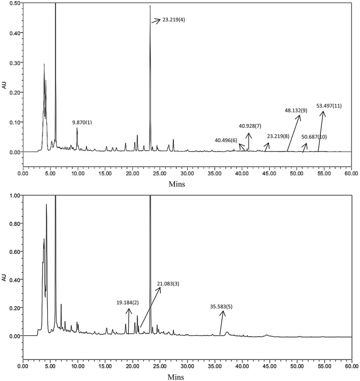 Fig. 1