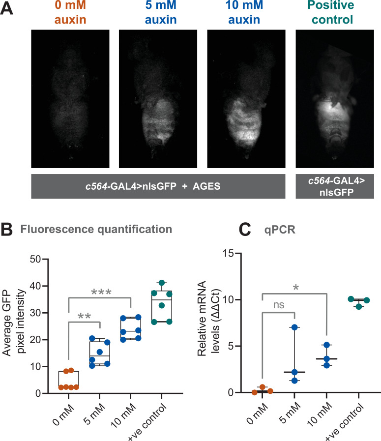 Figure 2—figure supplement 1.