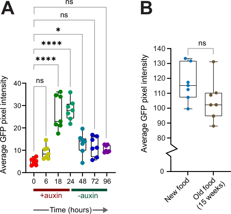 Figure 2—figure supplement 2.