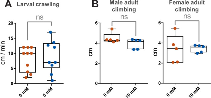 Figure 5—figure supplement 1.