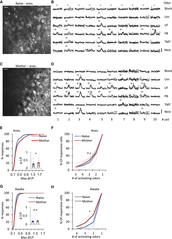 Figure 3