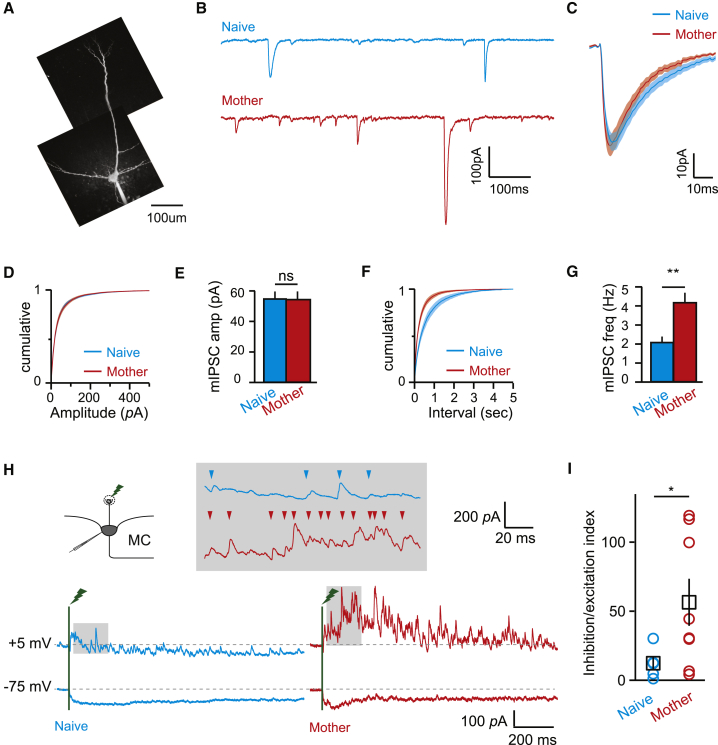 Figure 6