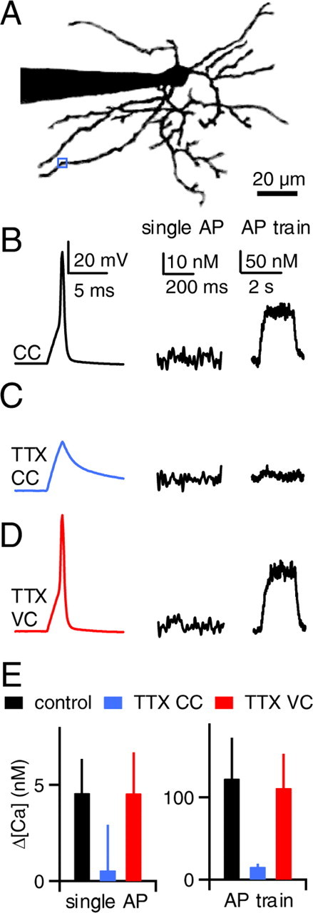 Figure 6.