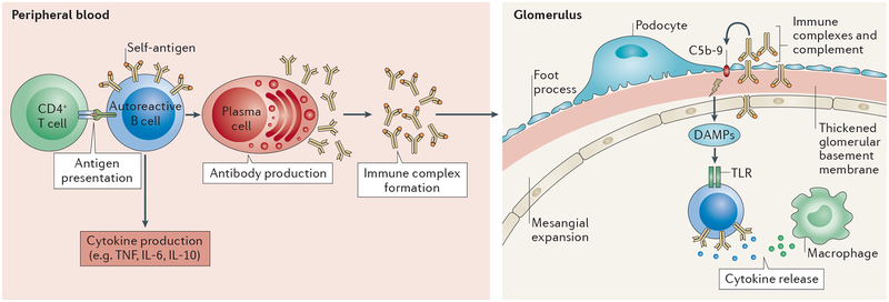 Figure 2 |