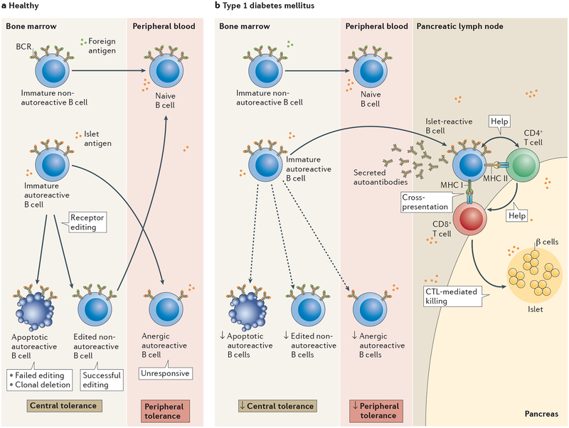 Figure 1 |