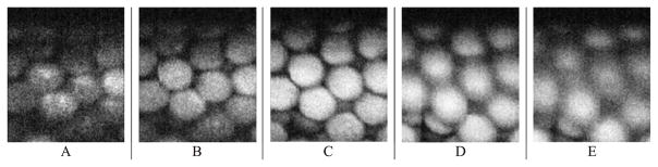 Fig. 15