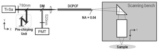 Fig. 1