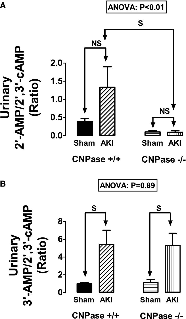 Figure 11.