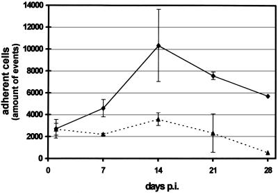 FIG. 2.