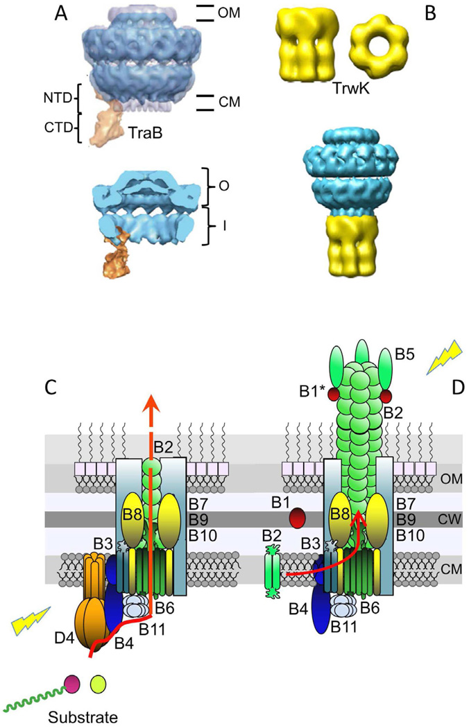 Fig. 2