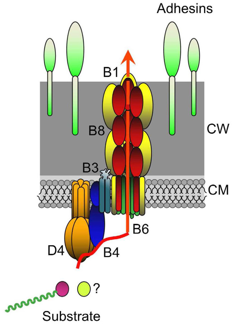 Fig. 4