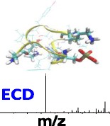 Graphical Abstract