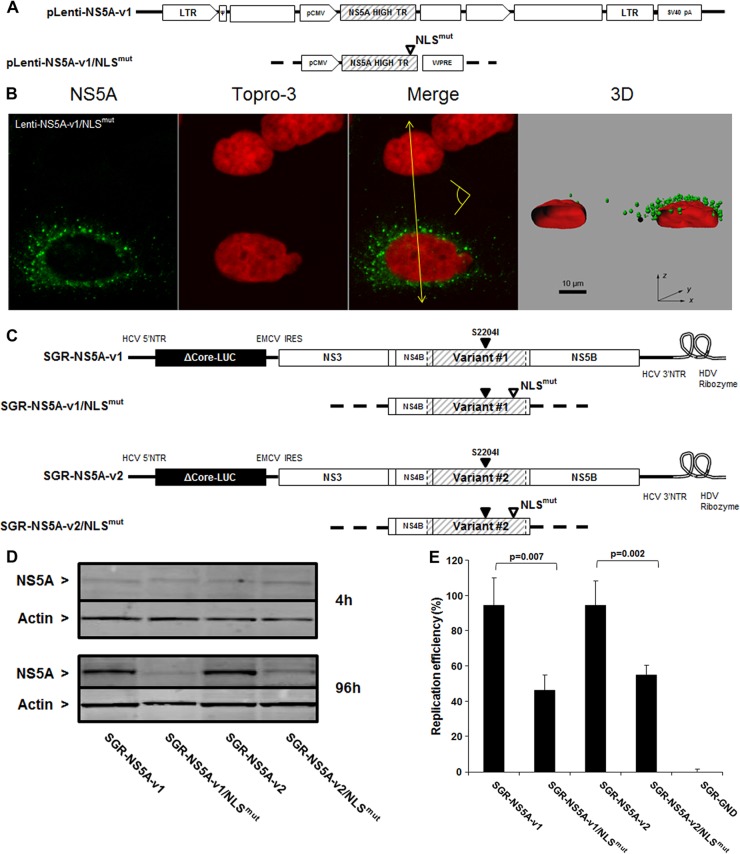 Fig 10