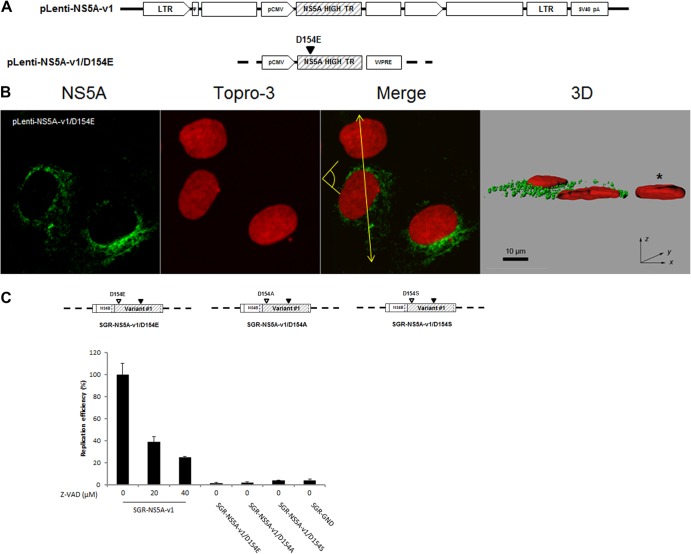 Fig 8