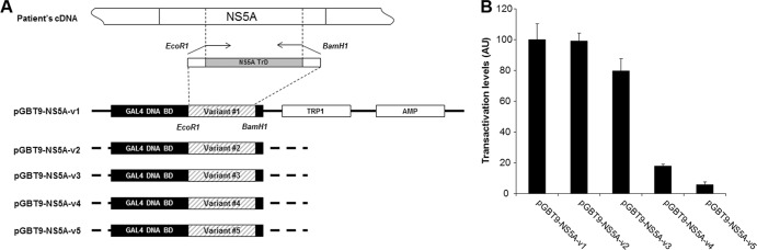 Fig 2